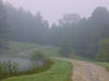 Dsc00002