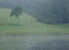Dsc00008