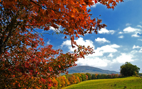 Fall color in Pocahontas County